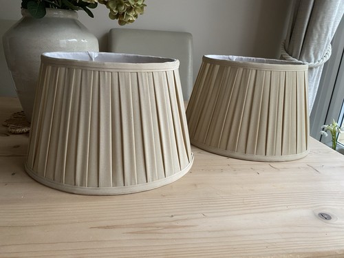 Pair lined pleated - of,